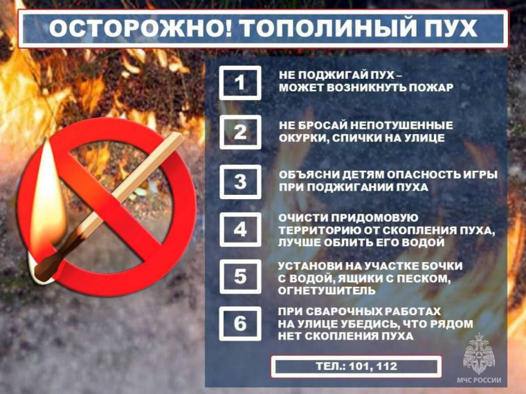 Тополиный пух - угроза распространения огня. Тополиный пух - угроза распространения огня.